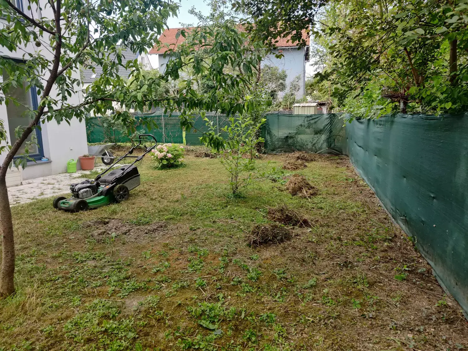 Zapušten travnjak pred obnovu busenom