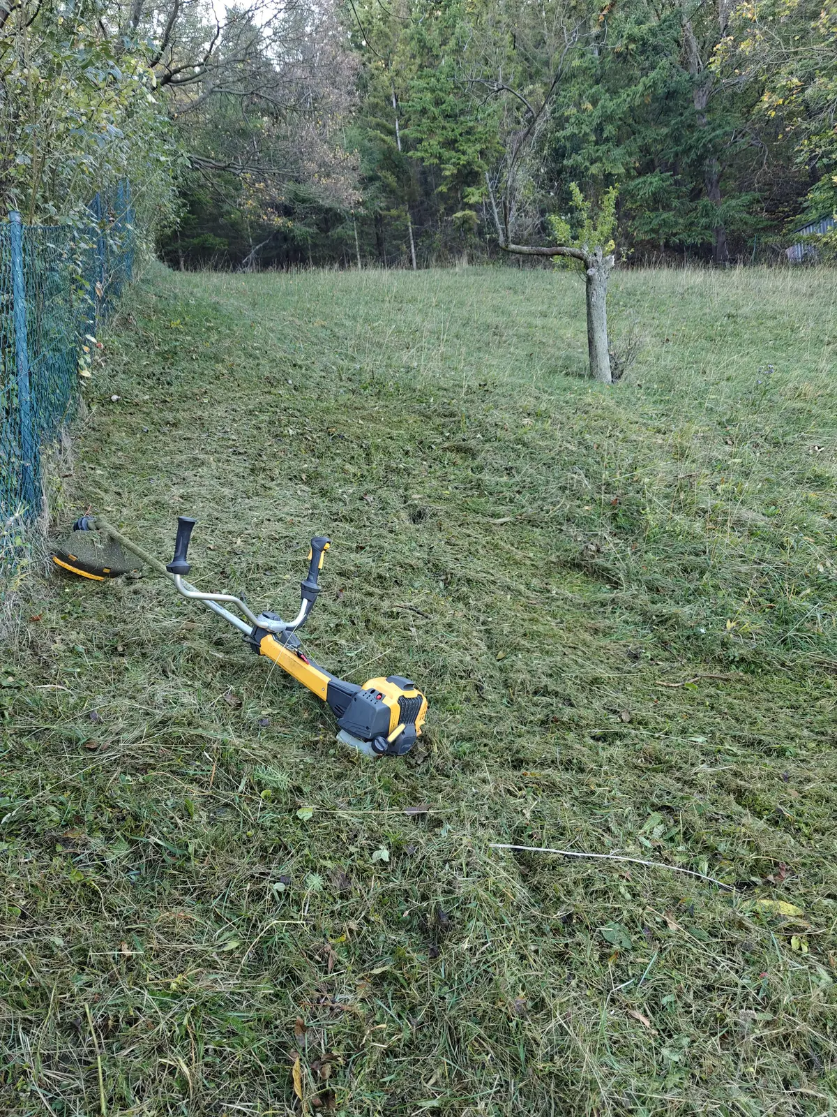 Košenje visoke trave trimerom na neravnom terenu