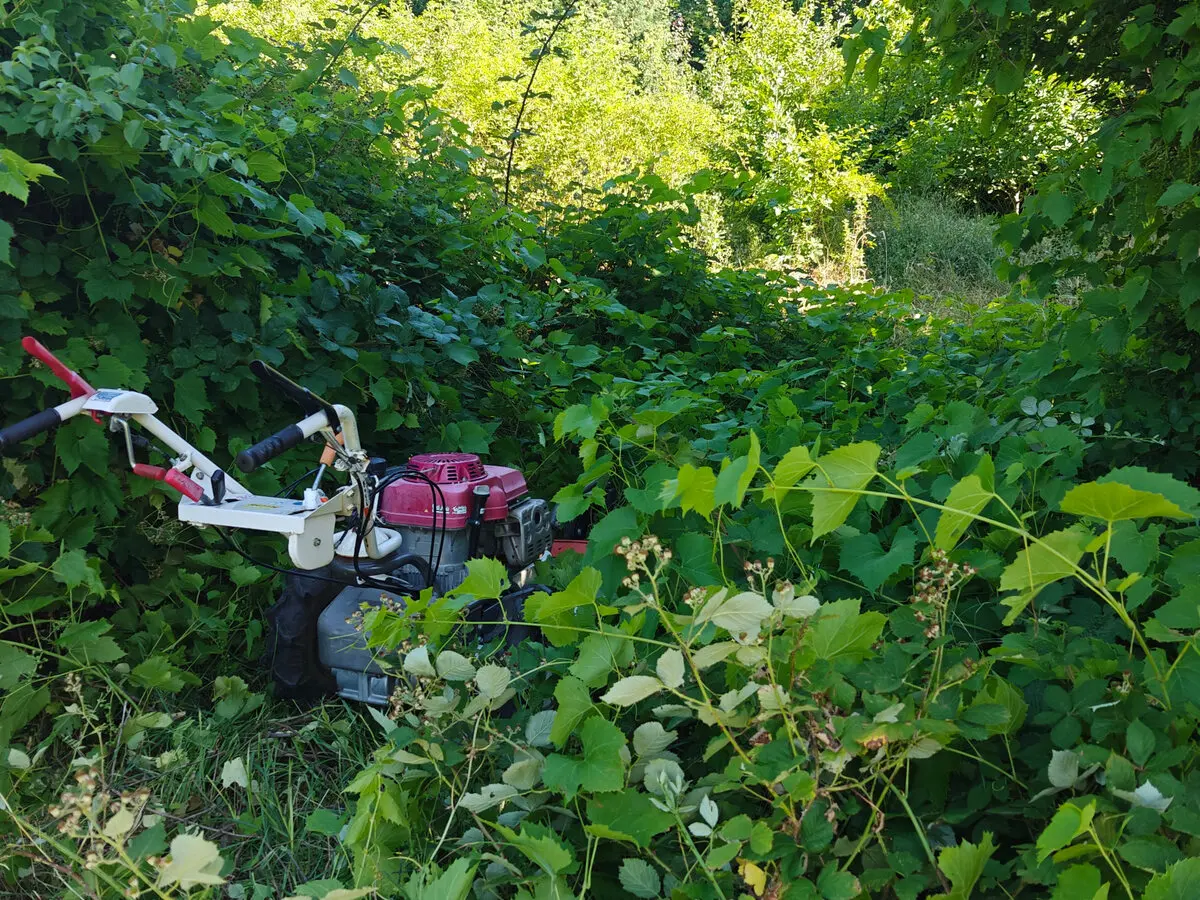 Rad mašinom u visokoj travi, kupini i gustom šiblju