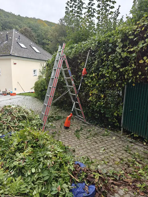Priprema za orezivanje žive ograde