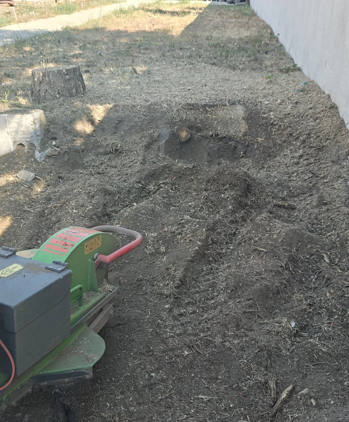 Prostor posle freziranja panja u Pančevu
