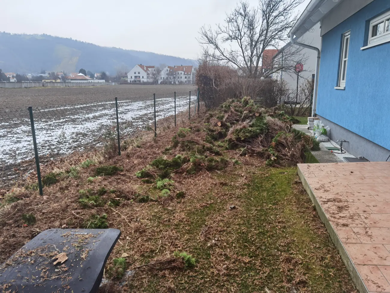 Uklanjanje stare žive ograde u sklopu čišćenja terena
