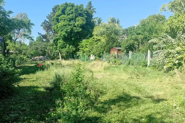 Pre uređenja dvorišta